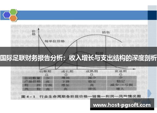 国际足联财务报告分析：收入增长与支出结构的深度剖析