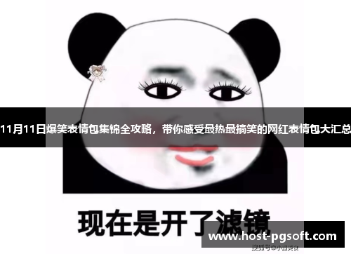 11月11日爆笑表情包集锦全攻略，带你感受最热最搞笑的网红表情包大汇总