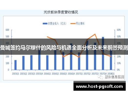 曼城签约马尔穆什的风险与机遇全面分析及未来前景预测