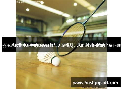 羽毛球职业生涯中的辉煌巅峰与无尽挑战：从胜利到困境的全景回顾