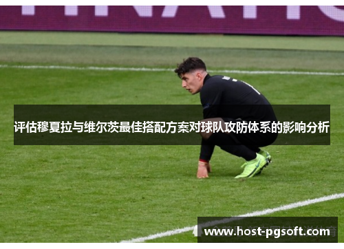 评估穆夏拉与维尔茨最佳搭配方案对球队攻防体系的影响分析