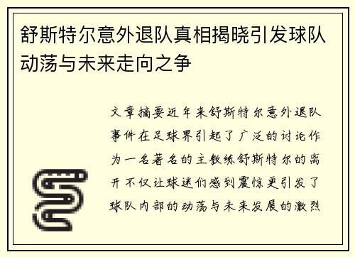 舒斯特尔意外退队真相揭晓引发球队动荡与未来走向之争