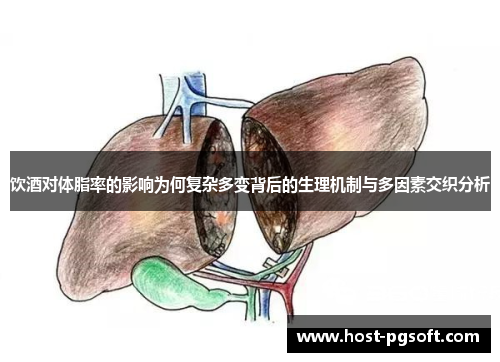 饮酒对体脂率的影响为何复杂多变背后的生理机制与多因素交织分析