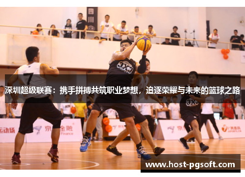 深圳超级联赛：携手拼搏共筑职业梦想，追逐荣耀与未来的篮球之路
